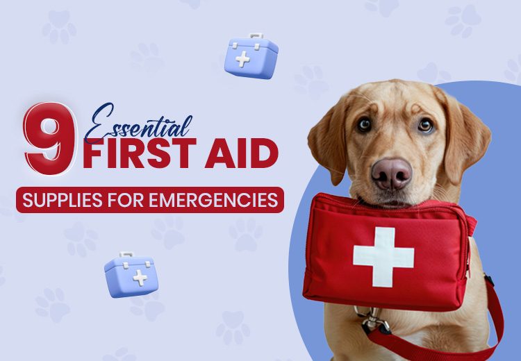 9 Essential First Aid Supplies for Any Emergency Kit